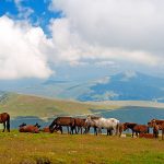 Национален парк Централен Балкан