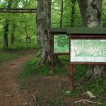 Природен парк Българка