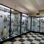 Национален природонаучен музей при БАН - София