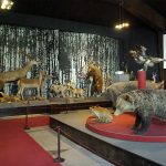 Природонаучен музей - Черни Осъм