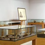 Национален антропологичен музей - София