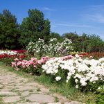Екопарк Варна - Университетска ботаническа градина