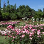 Екопарк Варна - Университетска ботаническа градина