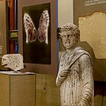 Археологически музей - Силистра