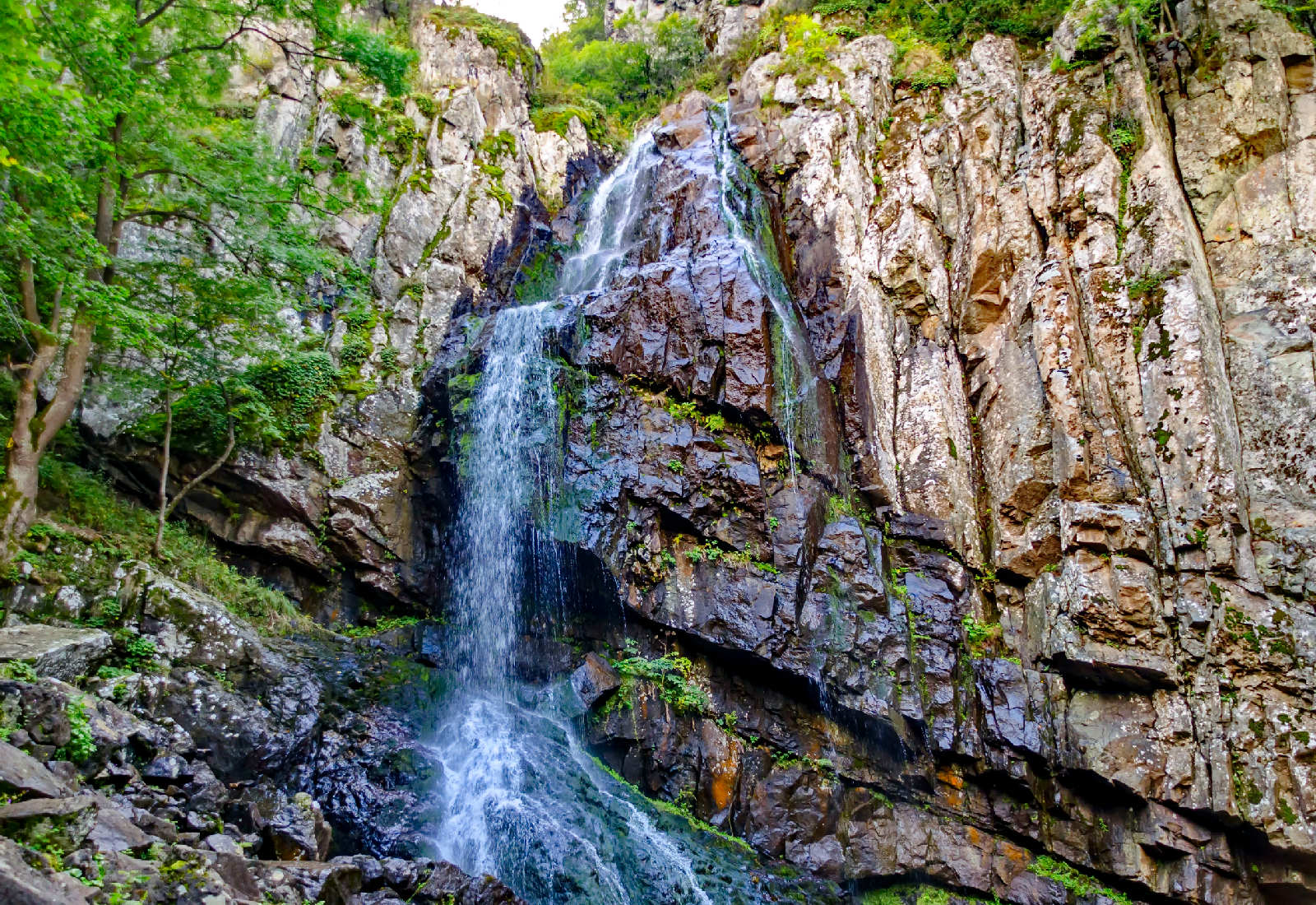 Туристически маршрут кв. Бояна - Боянско езеро - Боянски водопад - хижа Момина скала